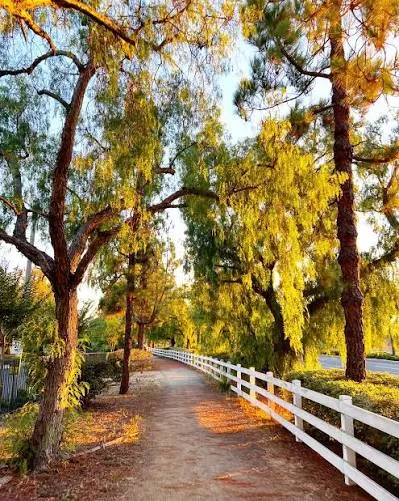 Fullerton, California